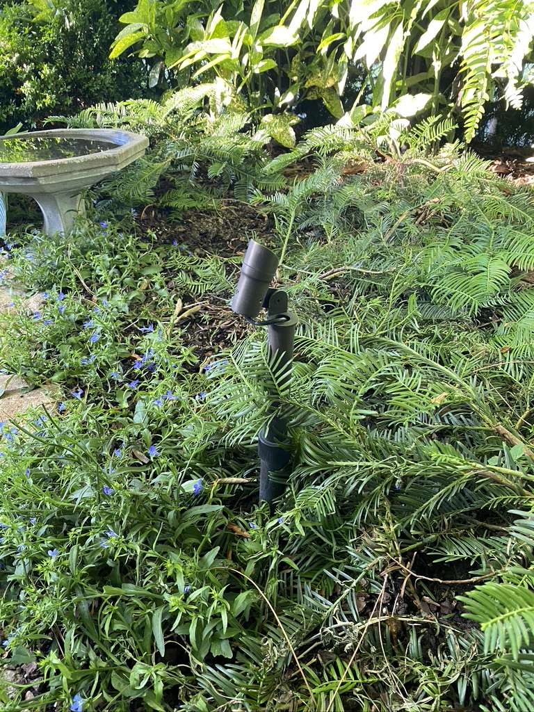 Landscape Lighting - Coastal Source Fixture